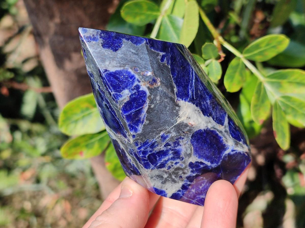 Polished Sodalite Crystals with Silver Hematite x 6 From Kunene River, Namibia