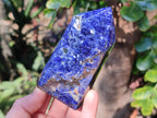 Polished Sodalite Crystals with Silver Hematite x 6 From Kunene River, Namibia