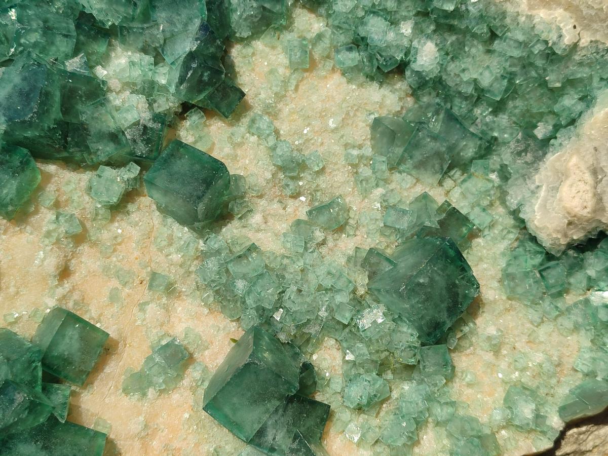 Natural XL Green Cubic Fluorite Specimen x 1 From Mandrosonoro, Madagascar