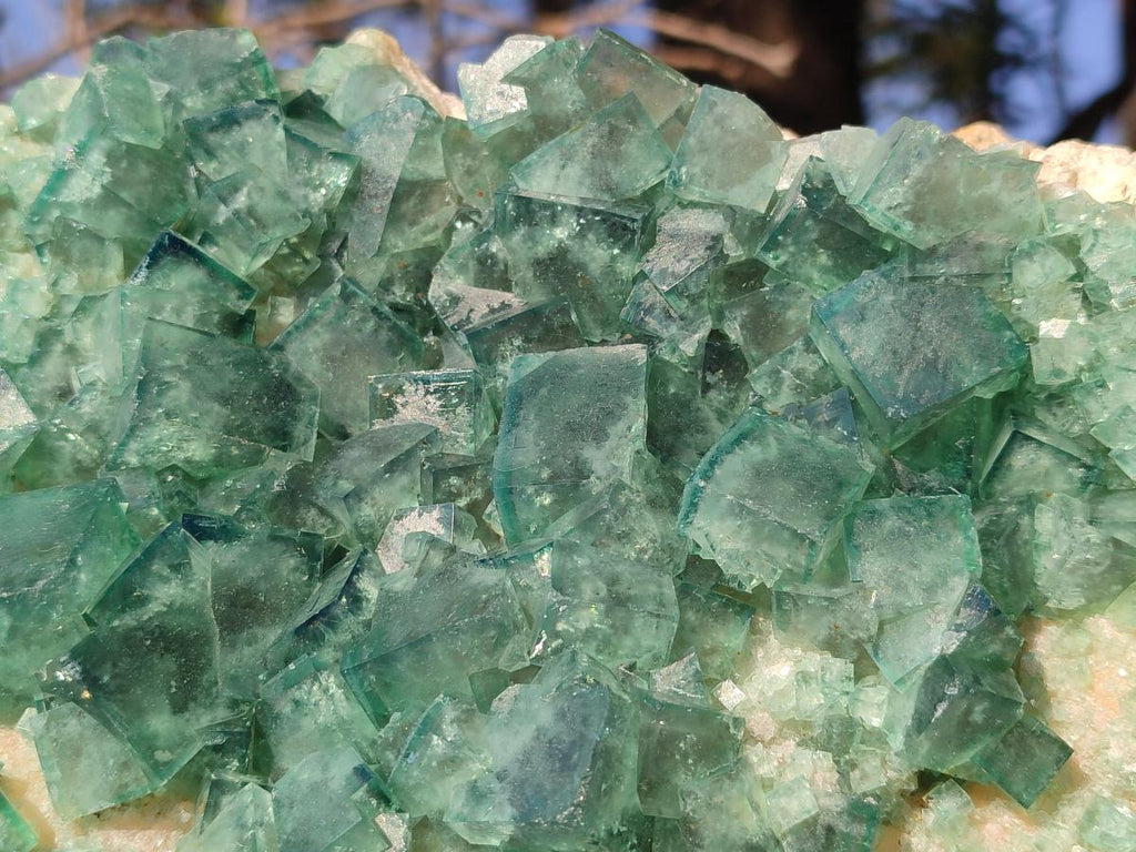 Natural XL Green Cubic Fluorite Specimen x 1 From Mandrosonoro, Madagascar