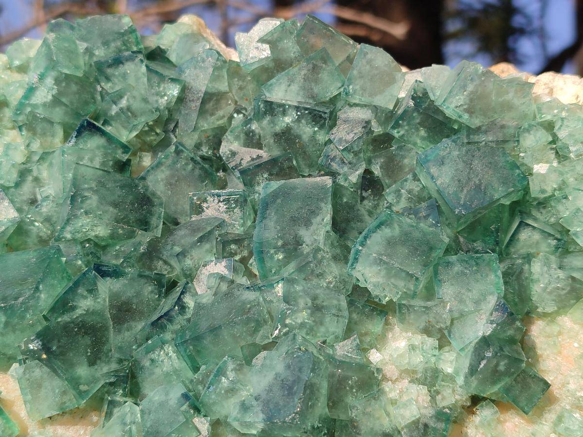 Natural XL Green Cubic Fluorite Specimen x 1 From Mandrosonoro, Madagascar