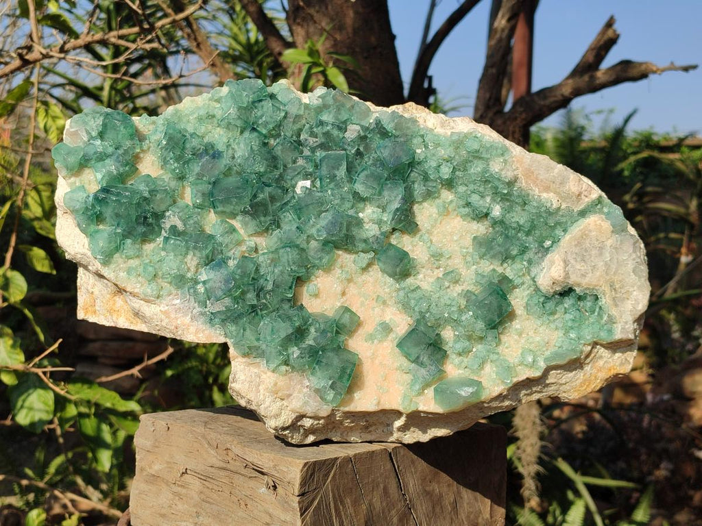 Natural XL Green Cubic Fluorite Specimen x 1 From Mandrosonoro, Madagascar