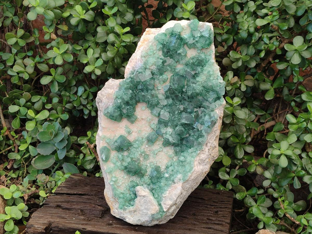 Natural XL Green Cubic Fluorite Specimen x 1 From Mandrosonoro, Madagascar