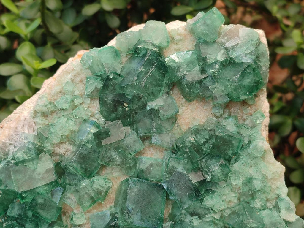 Natural XL Green Cubic Fluorite Specimen x 1 From Mandrosonoro, Madagascar