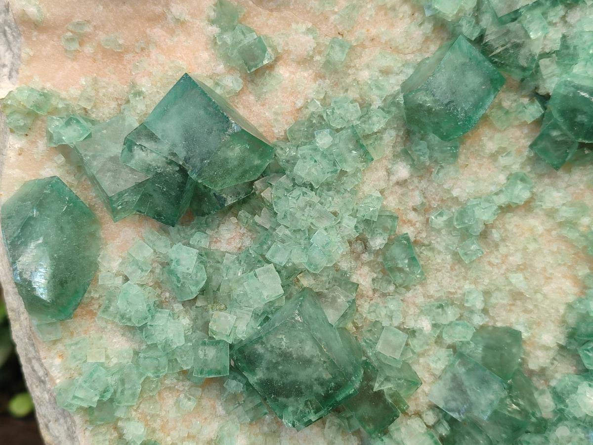 Natural XL Green Cubic Fluorite Specimen x 1 From Mandrosonoro, Madagascar