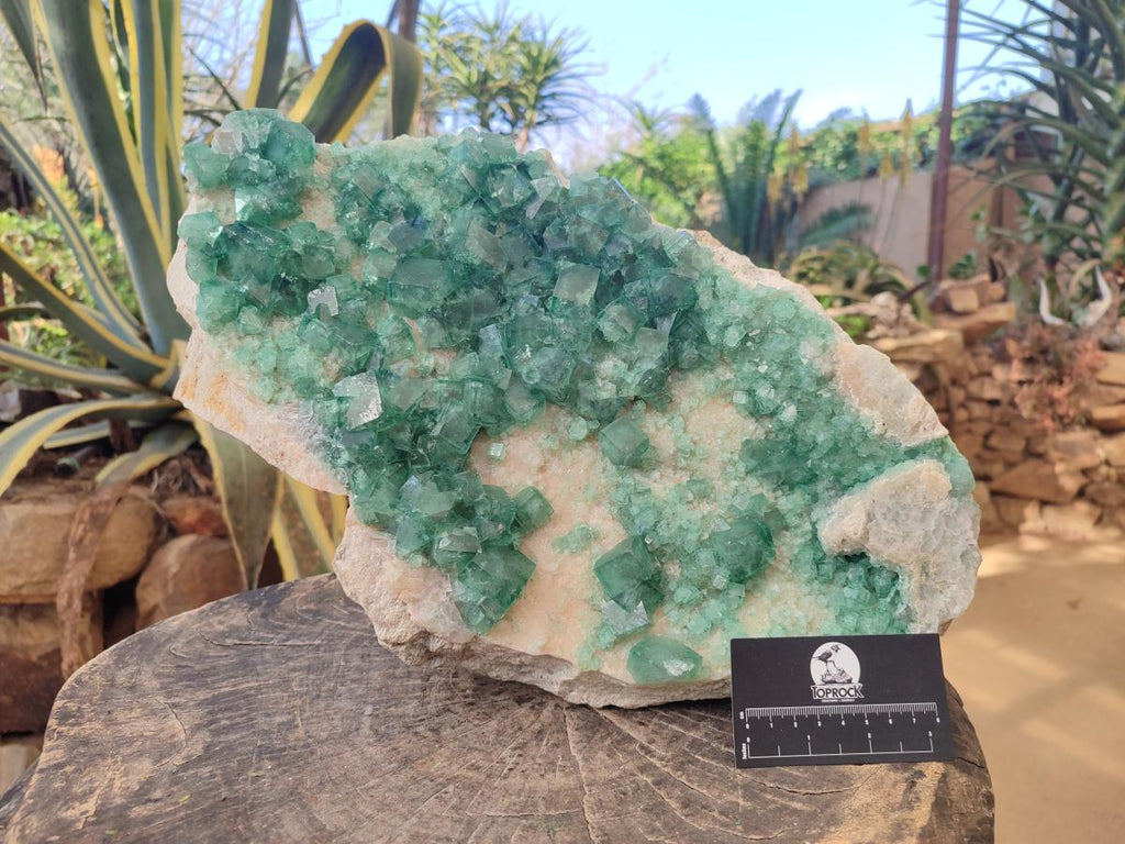 Natural XL Green Cubic Fluorite Specimen x 1 From Mandrosonoro, Madagascar
