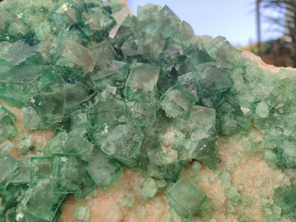 Natural XL Green Cubic Fluorite Specimen x 1 From Mandrosonoro, Madagascar
