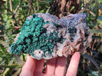 Natural Large Ball Malachite Specimen Coated with Drusy Quartz on Dolomite x 1 From Mindingi Mine, Congo