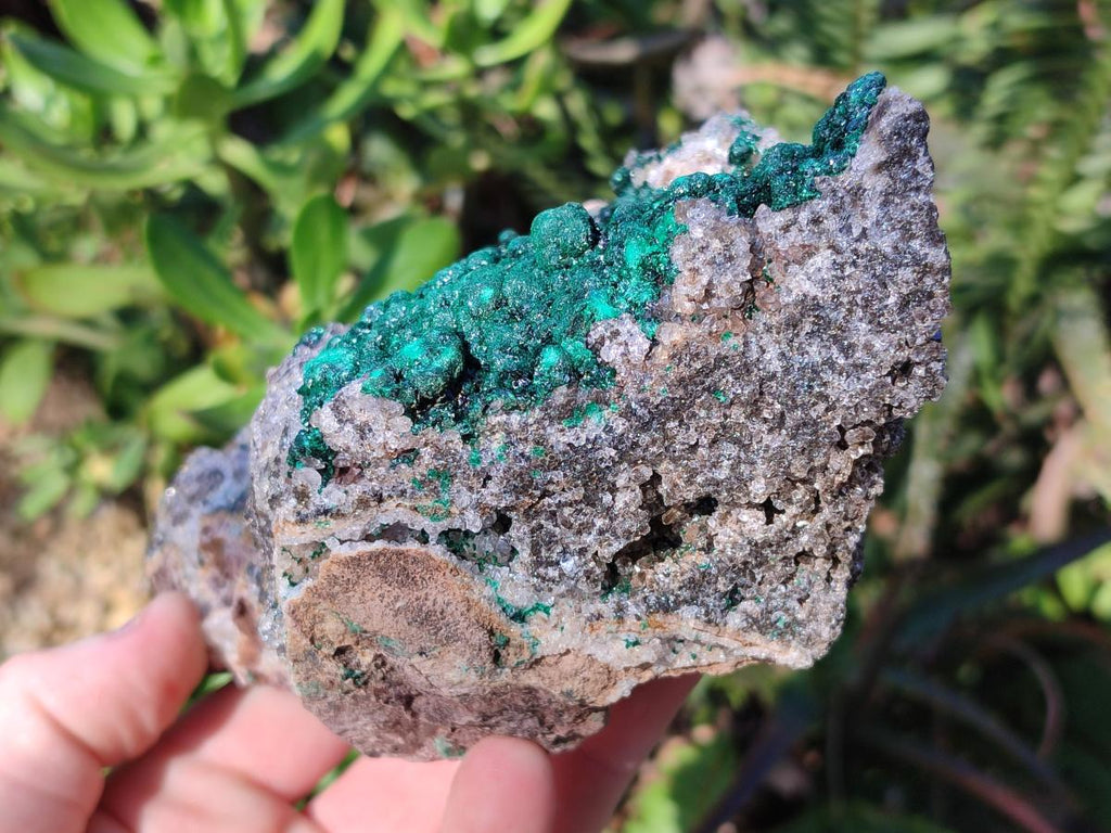 Natural Large Ball Malachite Specimen Coated with Drusy Quartz on Dolomite x 1 From Mindingi Mine, Congo