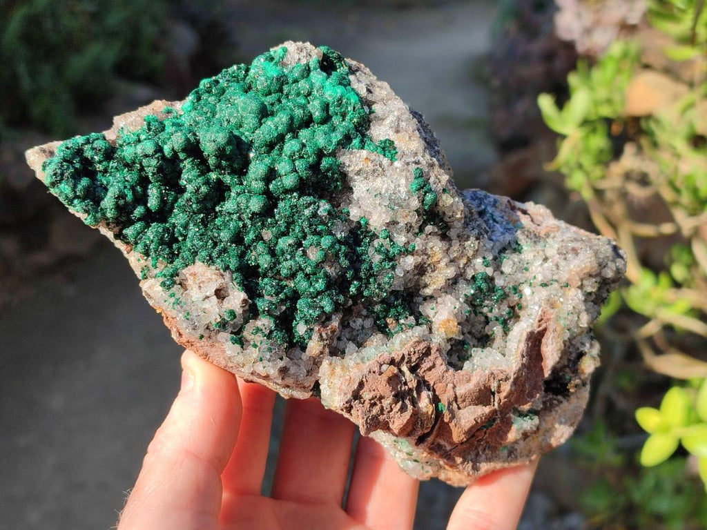 Natural Large Ball Malachite Specimen Coated with Drusy Quartz on Dolomite x 1 From Mindingi Mine, Congo