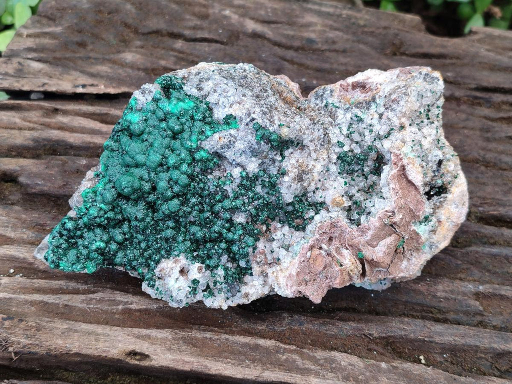 Natural Large Ball Malachite Specimen Coated with Drusy Quartz on Dolomite x 1 From Mindingi Mine, Congo