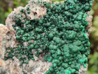 Natural Large Ball Malachite Specimen Coated with Drusy Quartz on Dolomite x 1 From Mindingi Mine, Congo