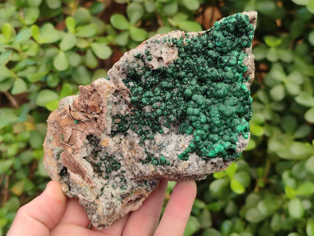 Natural Large Ball Malachite Specimen Coated with Drusy Quartz on Dolomite x 1 From Mindingi Mine, Congo