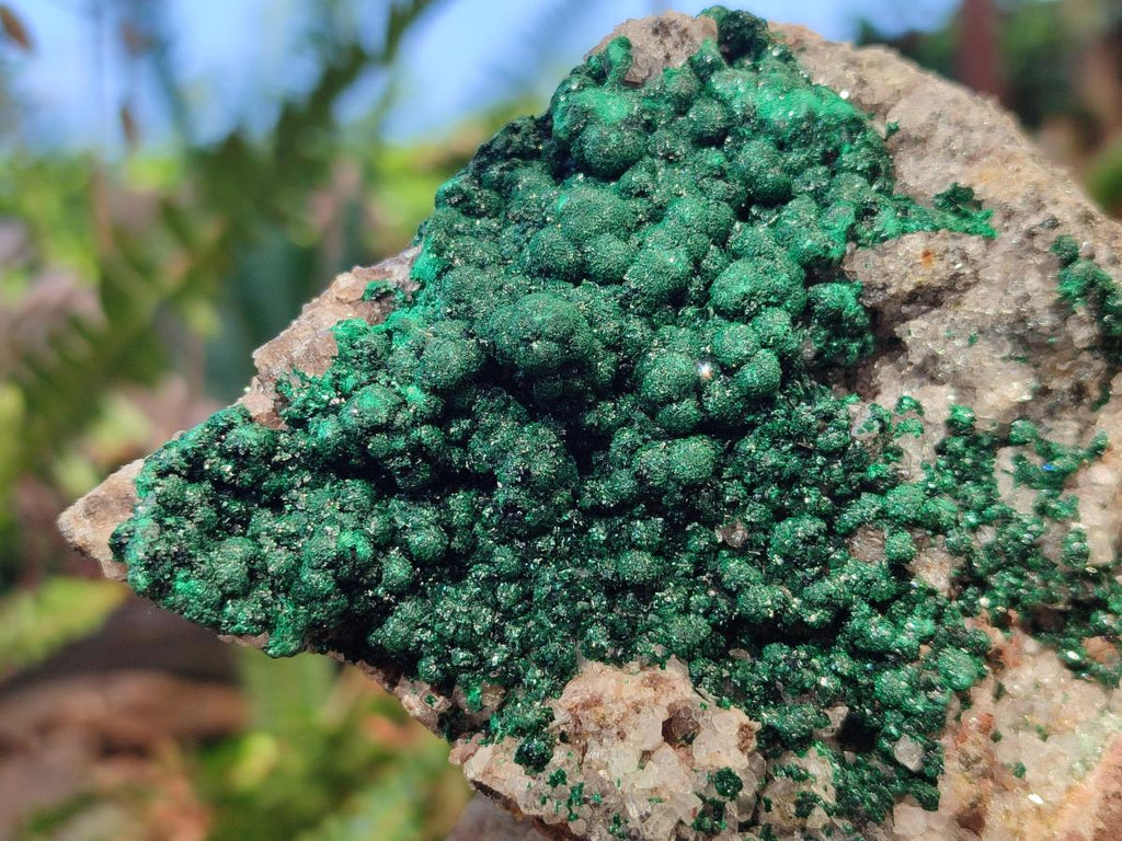 Natural Large Ball Malachite Specimen Coated with Drusy Quartz on Dolomite x 1 From Mindingi Mine, Congo