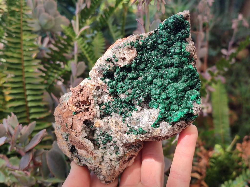 Natural Large Ball Malachite Specimen Coated with Drusy Quartz on Dolomite x 1 From Mindingi Mine, Congo