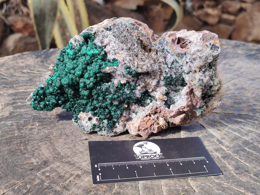 Natural Large Ball Malachite Specimen Coated with Drusy Quartz on Dolomite x 1 From Mindingi Mine, Congo