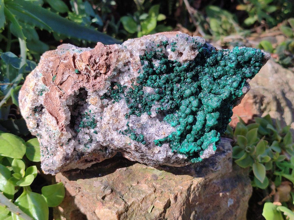 Natural Large Ball Malachite Specimen Coated with Drusy Quartz on Dolomite x 1 From Mindingi Mine, Congo