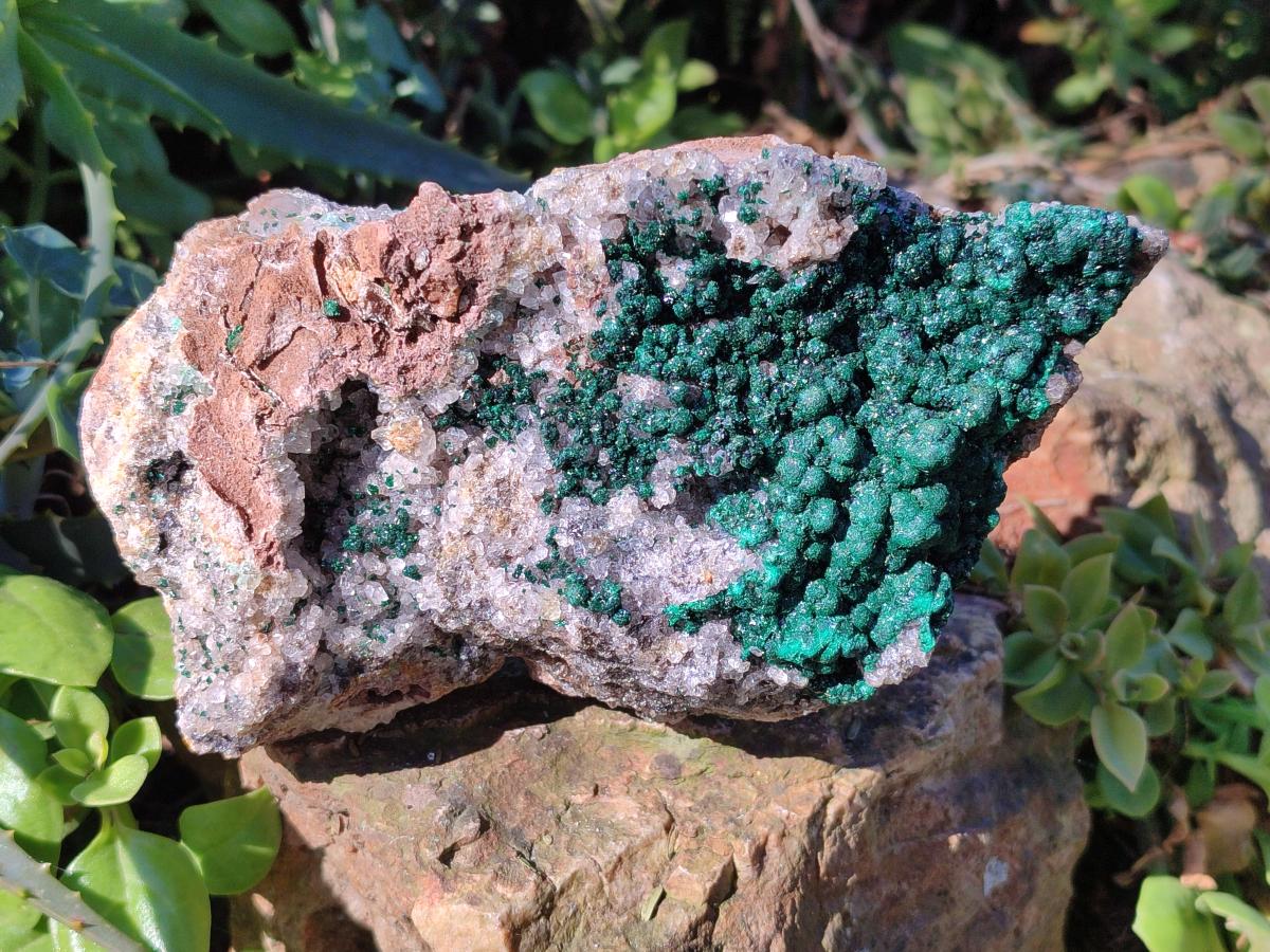 Natural Large Ball Malachite Specimen Coated with Drusy Quartz on Dolomite x 1 From Mindingi Mine, Congo