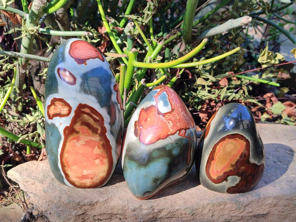 Polished Polychrome Jasper Standing Display Pieces x 3 From NW Coast, Madagascar
