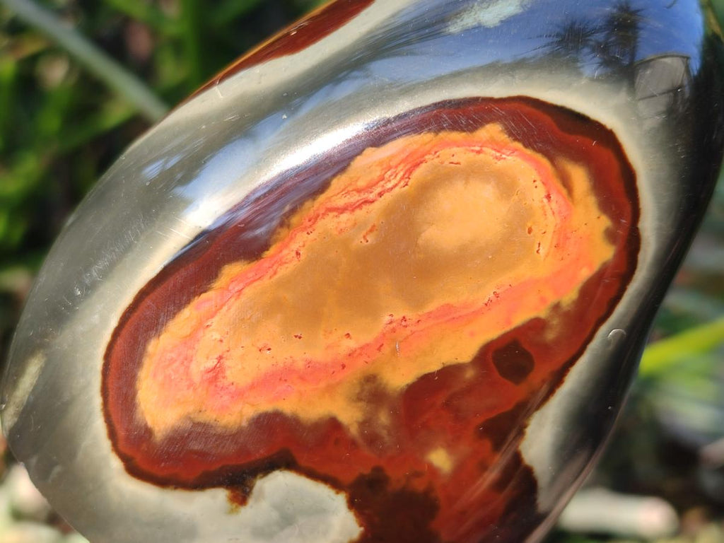 Polished Polychrome Jasper Standing Display Pieces x 3 From NW Coast, Madagascar