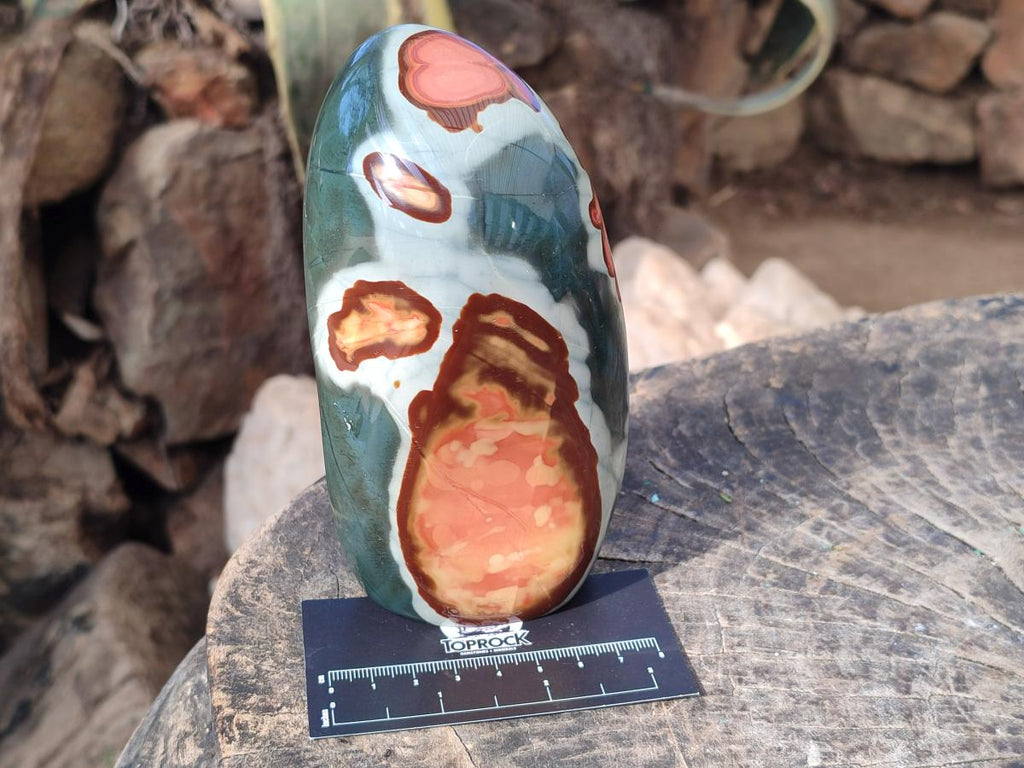 Polished Polychrome Jasper Standing Display Pieces x 3 From NW Coast, Madagascar