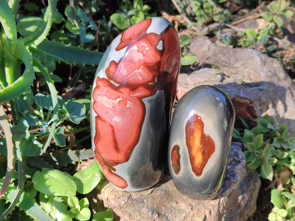 Polished Polychrome Jasper Standing Display Pieces x 3 From NW Coast, Madagascar