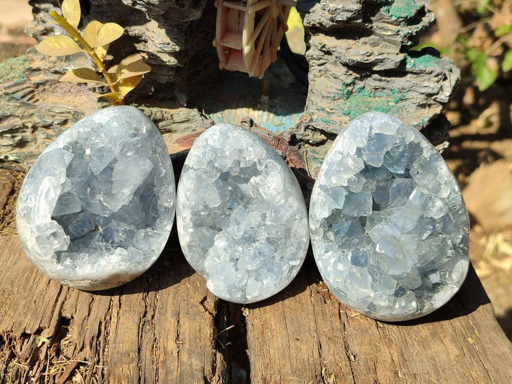 Polished and Natural Blue Celestite Eggs x 3 From Sakoany, Madagascar
