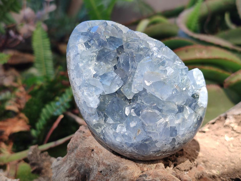 Polished and Natural Blue Celestite Eggs x 3 From Sakoany, Madagascar