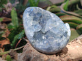 Polished and Natural Blue Celestite Eggs x 3 From Sakoany, Madagascar