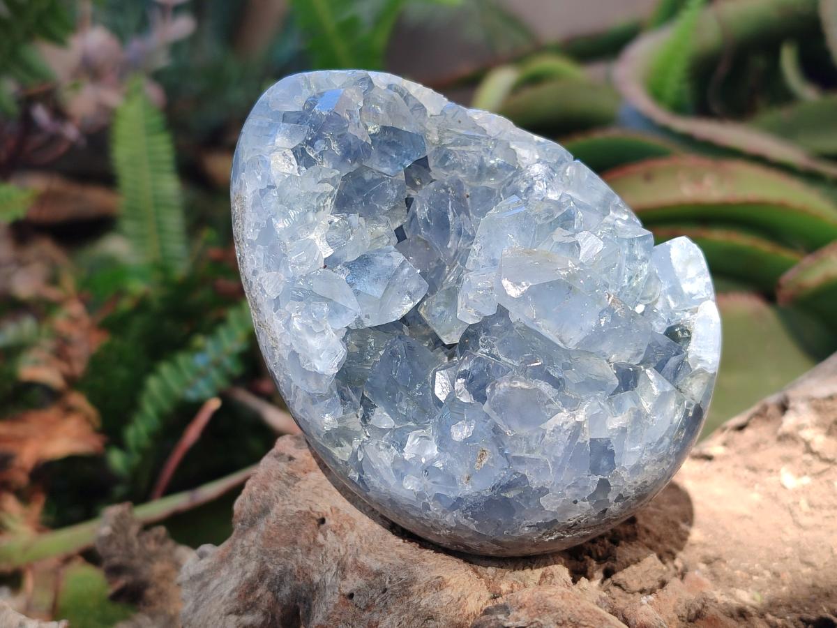 Polished and Natural Blue Celestite Eggs x 3 From Sakoany, Madagascar