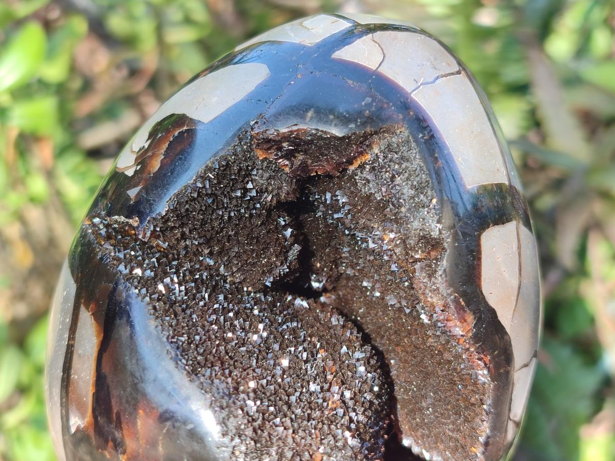 Polished and Natural Septerye Sauvage "Dragons Egg" Geodes x 2 From Mahajanga, Madagascar