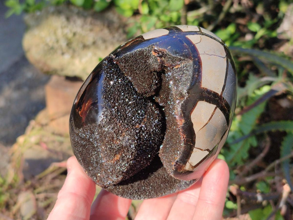 Polished and Natural Septerye Sauvage "Dragons Egg" Geodes x 2 From Mahajanga, Madagascar