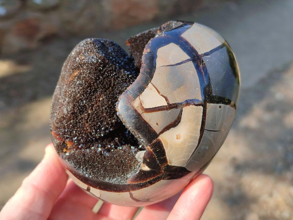 Polished and Natural Septerye Sauvage "Dragons Egg" Geodes x 2 From Mahajanga, Madagascar
