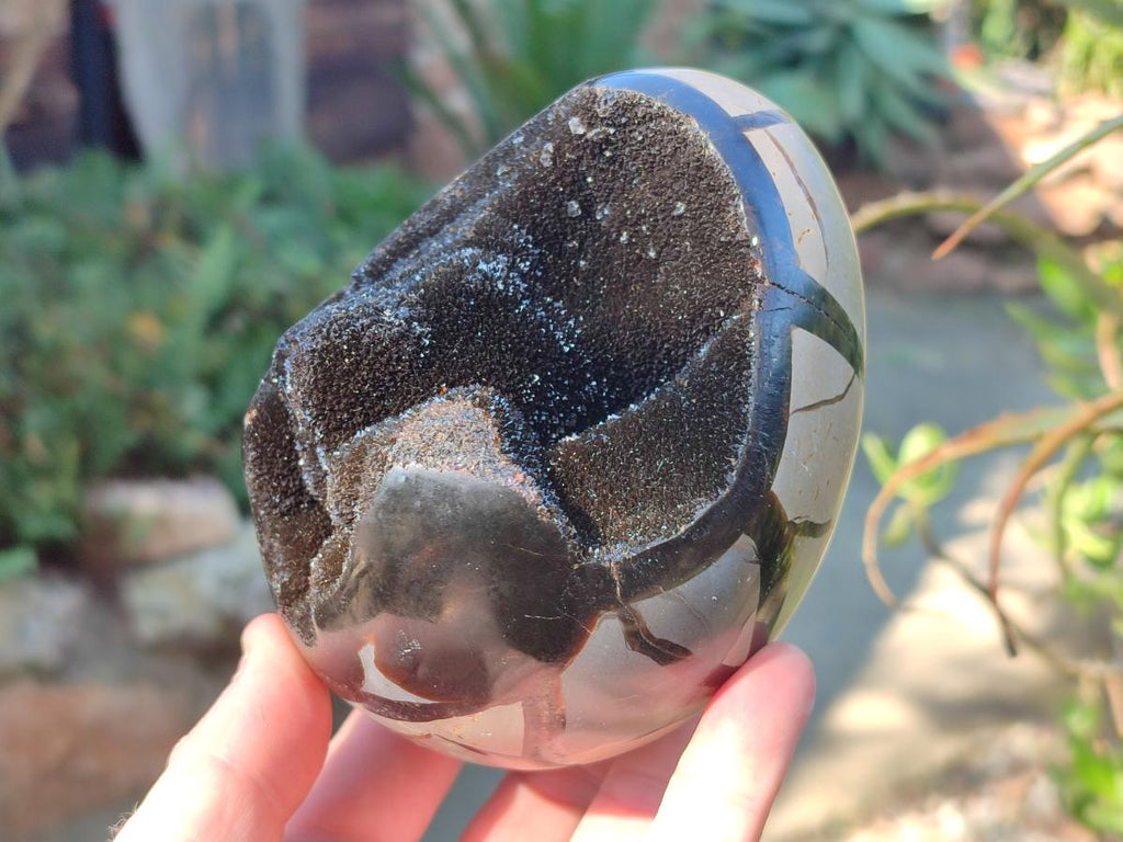 Polished and Natural Septerye Sauvage "Dragons Egg" Geodes x 2 From Mahajanga, Madagascar