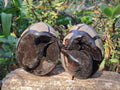 Polished and Natural Septerye Sauvage "Dragons Egg" Geodes x 2 From Mahajanga, Madagascar