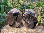 Polished and Natural Septerye Sauvage "Dragons Egg" Geodes x 2 From Mahajanga, Madagascar