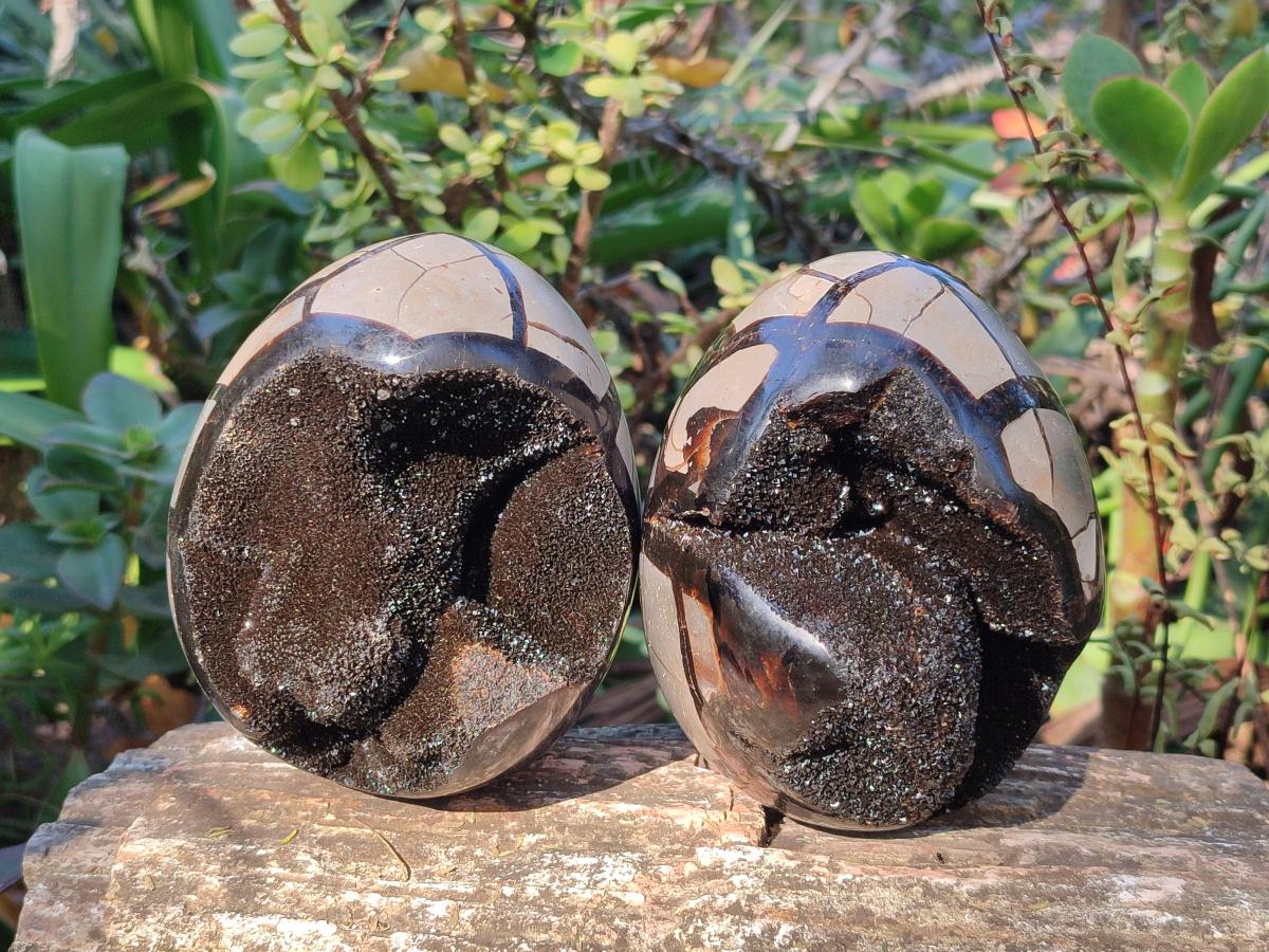 Polished and Natural Septerye Sauvage "Dragons Egg" Geodes x 2 From Mahajanga, Madagascar