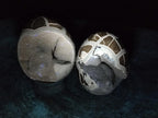Polished and Natural Septerye Sauvage "Dragons Egg" Geodes x 2 From Mahajanga, Madagascar