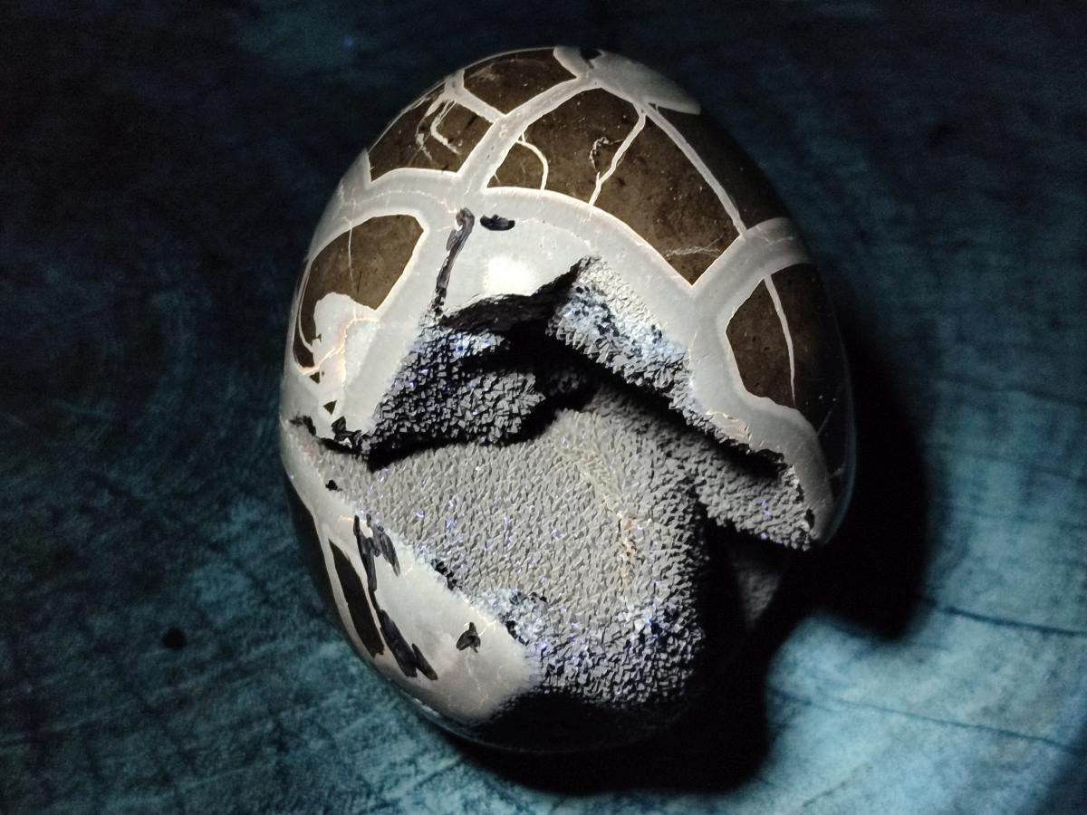 Polished and Natural Septerye Sauvage "Dragons Egg" Geodes x 2 From Mahajanga, Madagascar