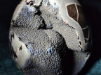 Polished and Natural Septerye Sauvage "Dragons Egg" Geodes x 2 From Mahajanga, Madagascar