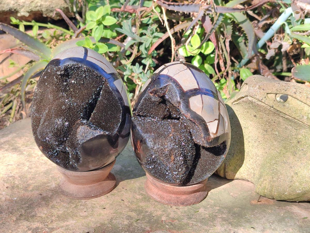 Polished and Natural Septerye Sauvage "Dragons Egg" Geodes x 2 From Mahajanga, Madagascar