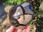 Polished and Natural Septerye Sauvage "Dragons Egg" Geodes x 2 From Mahajanga, Madagascar