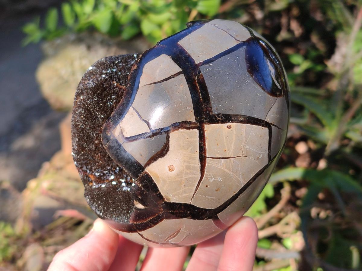 Polished and Natural Septerye Sauvage "Dragons Egg" Geodes x 2 From Mahajanga, Madagascar
