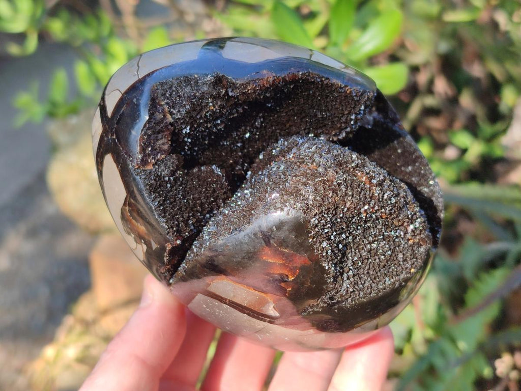 Polished and Natural Septerye Sauvage "Dragons Egg" Geodes x 2 From Mahajanga, Madagascar