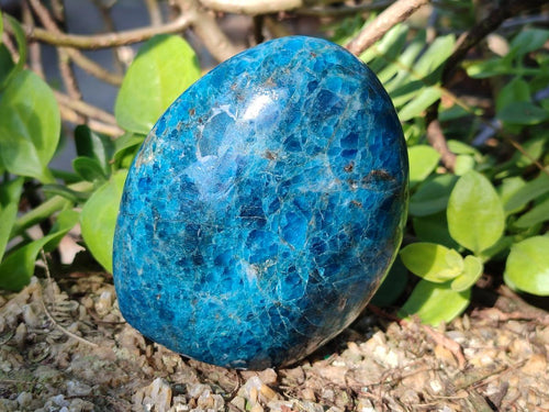 Polished Blue Apatite Standing Display Pieces x 4 From Betroka, Madagascar