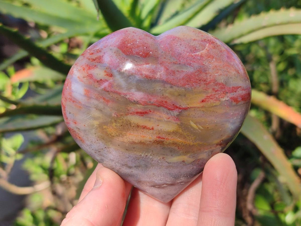 Polished Ocean Jasper Hearts x 6 From Northwest Coast, Madagascar