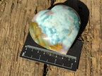 Polished Ocean Jasper Hearts x 6 From Northwest Coast, Madagascar