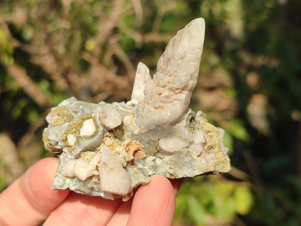 Natural Drusy Quartz Coated "Cock Spur" Calcite Crystals x 12 From Albert's Mountain, Lesotho