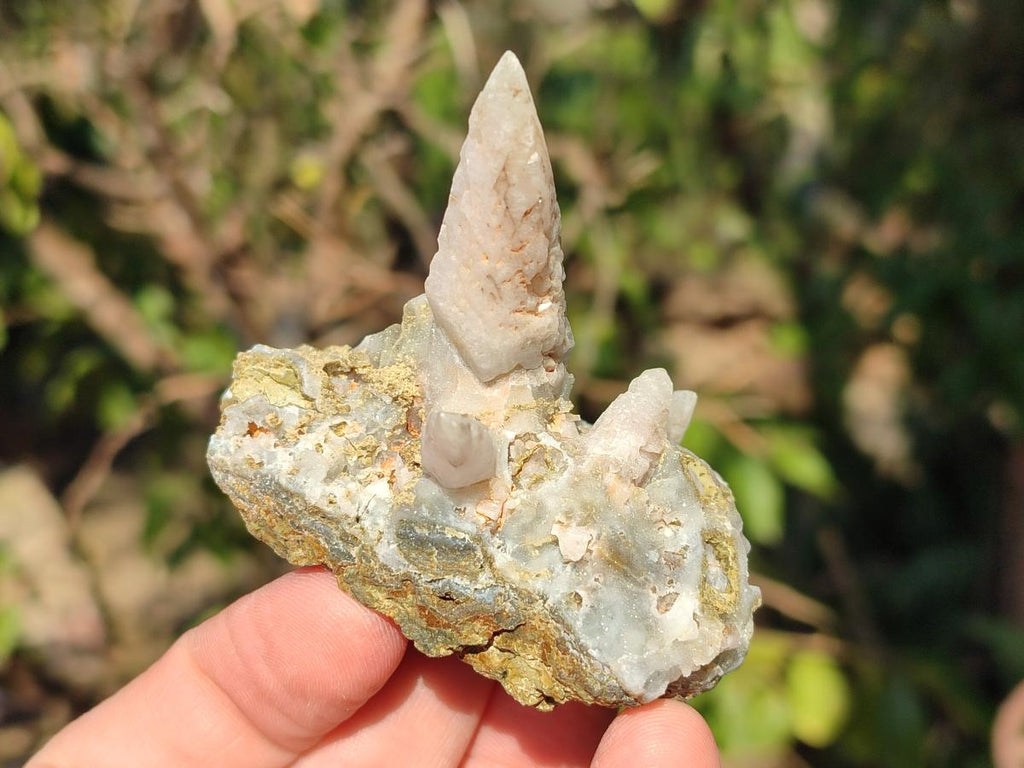 Natural Drusy Quartz Coated "Cock Spur" Calcite Crystals x 12 From Albert's Mountain, Lesotho