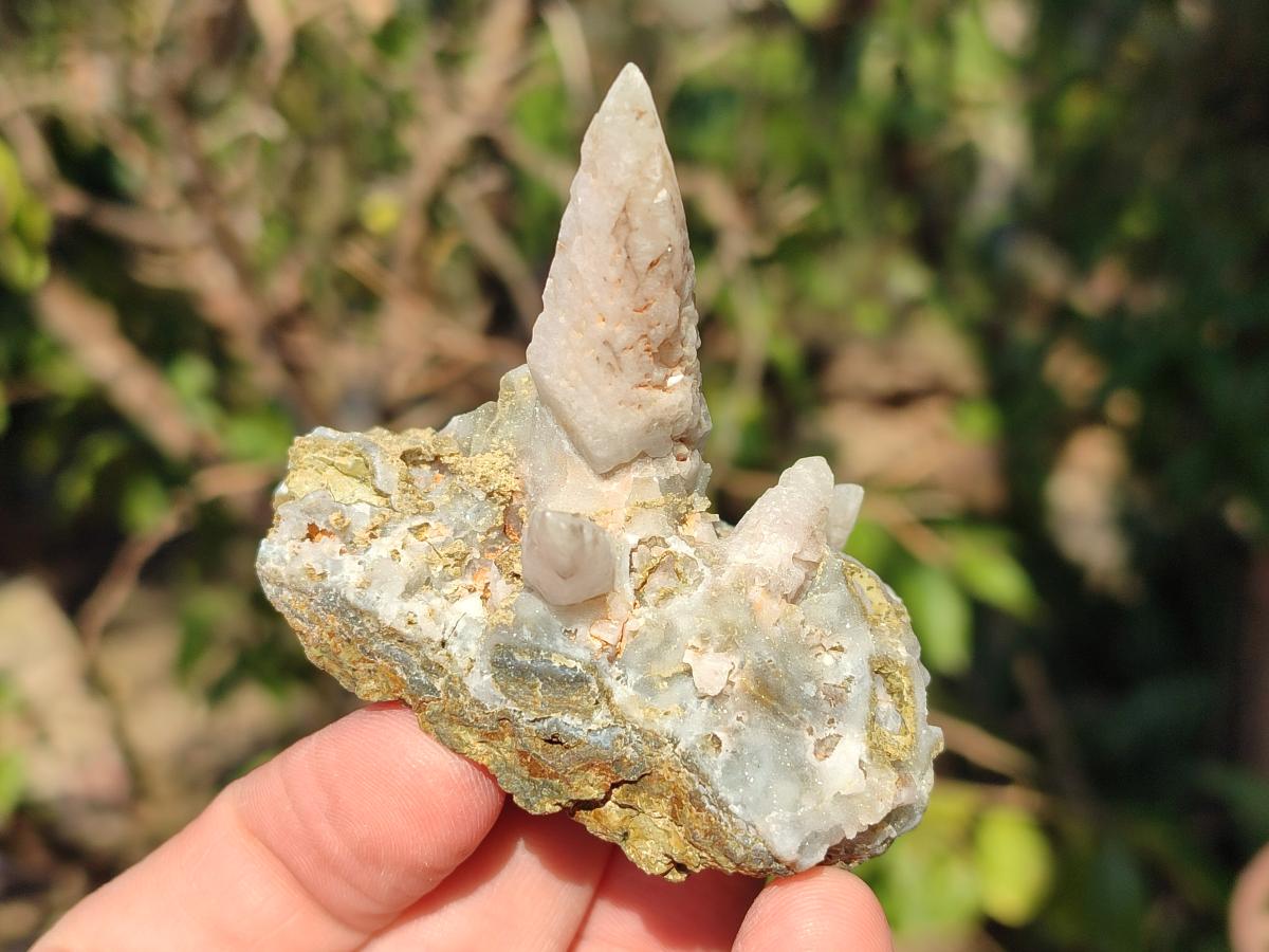Natural Drusy Quartz Coated "Cock Spur" Calcite Crystals x 12 From Albert's Mountain, Lesotho